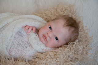 Reborn Frankie por Silvia Creations