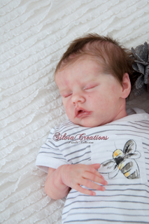 Reborn TwinAB por Silvia Creations